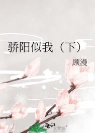 骄阳似我小说第二部