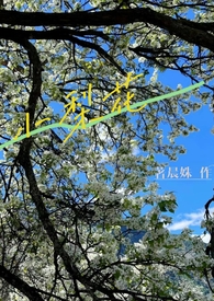小梨花抖音号